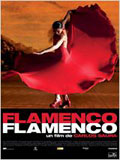 flamenco-flamenco