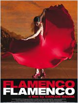 flamenco-flamenco